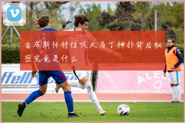 吉布斯怀特惊叹大马丁神扑背后秘密究竟是什么